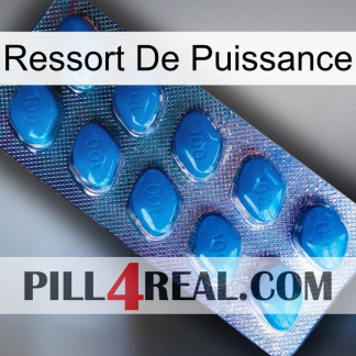 Power Spring viagra1